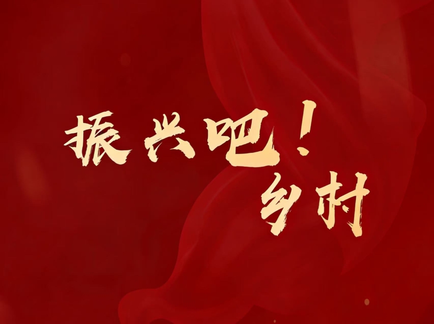 《振兴吧！乡村》